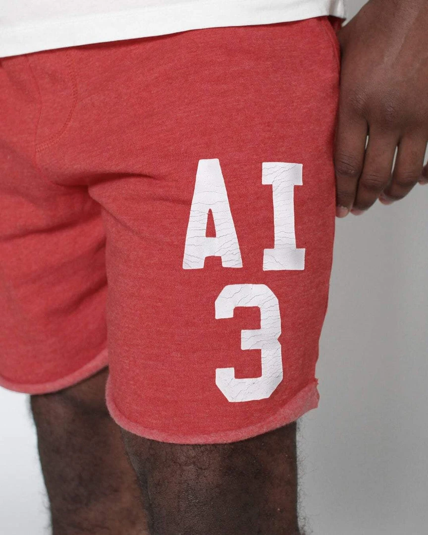 Allen Iverson #3 Red Shorts SPORT AND ICON 7 Allen Iverson #3 Red Shorts SPORT AND ICON