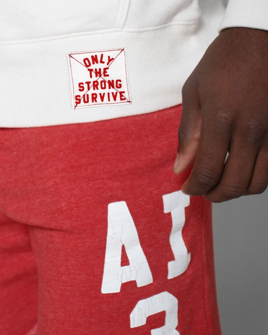 Allen Iverson SPORT AND ICON Iverson #3 Ivory Hoody 9 Allen Iverson SPORT AND ICON Iverson #3 Ivory Hoody