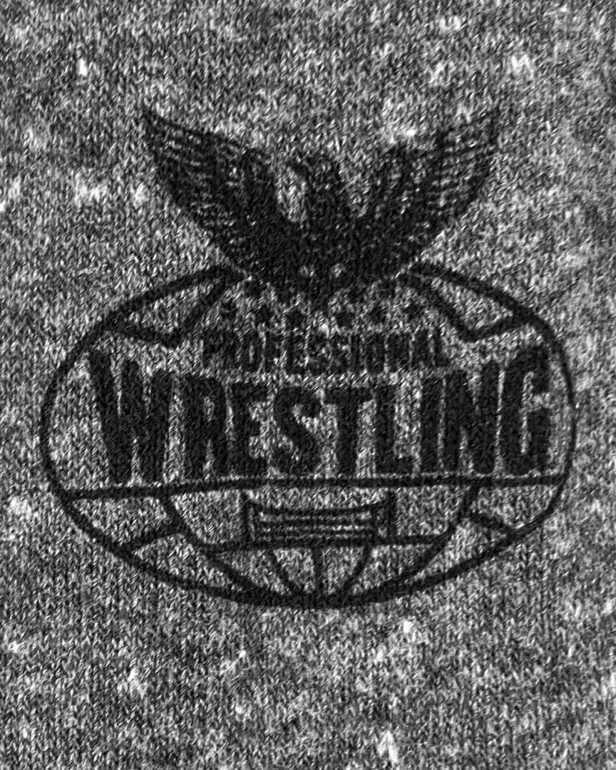 SPORT AND ICON Ric Flair 'You're Talking To The' Grey PO Hoody 6 SPORT AND ICON Ric Flair 'You're Talking To The' Grey PO Hoody